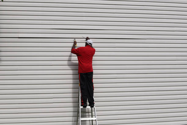 Best Siding Removal and Disposal  in Westernport, MD